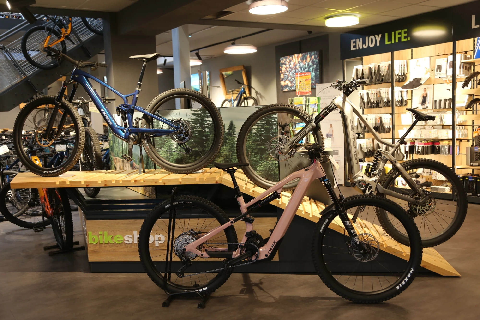 Fahrr&auml;der in verschiedenen Farben auf St&auml;ndern in der Bikeshop-Ausstellung.